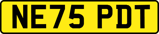 NE75PDT