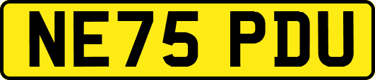 NE75PDU