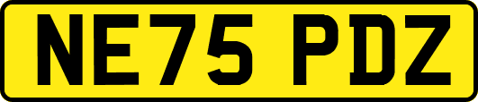 NE75PDZ