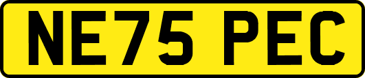 NE75PEC