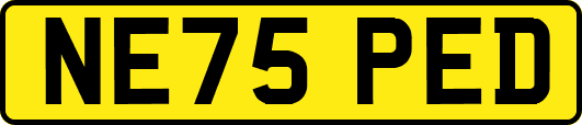 NE75PED