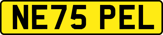 NE75PEL