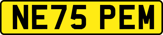 NE75PEM