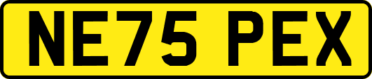 NE75PEX