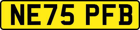NE75PFB