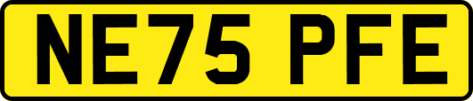 NE75PFE