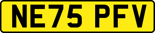 NE75PFV