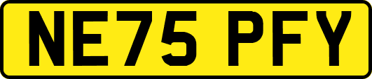 NE75PFY