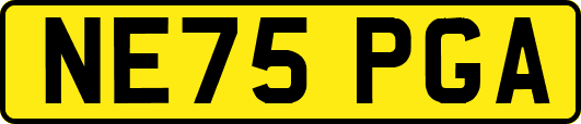 NE75PGA