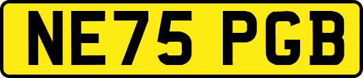 NE75PGB