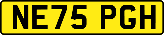 NE75PGH