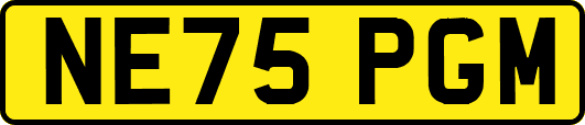 NE75PGM