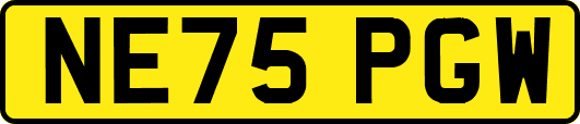 NE75PGW