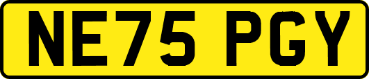 NE75PGY