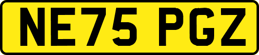 NE75PGZ