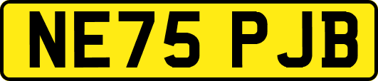 NE75PJB