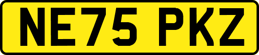 NE75PKZ