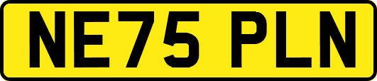 NE75PLN