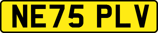 NE75PLV