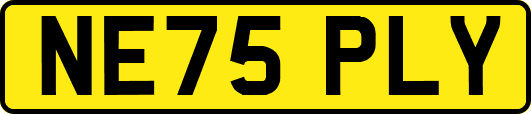 NE75PLY