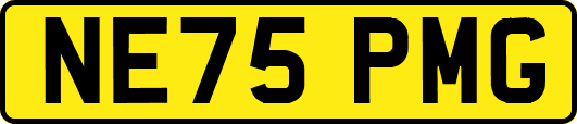 NE75PMG