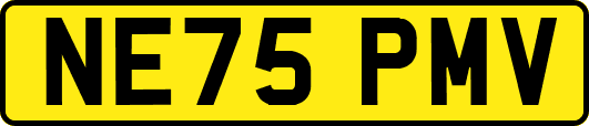 NE75PMV