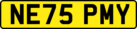 NE75PMY