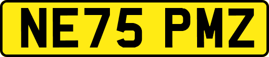 NE75PMZ