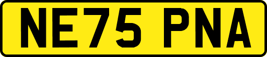 NE75PNA