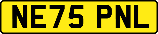 NE75PNL