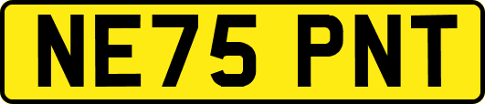 NE75PNT