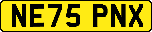 NE75PNX