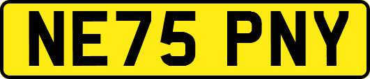 NE75PNY