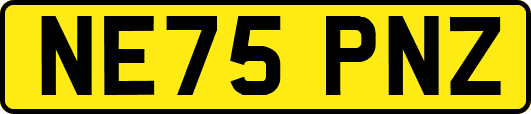 NE75PNZ