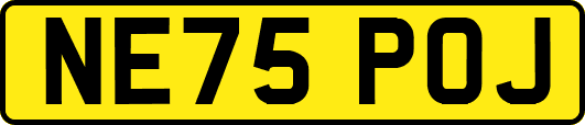 NE75POJ