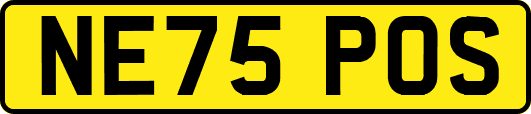 NE75POS