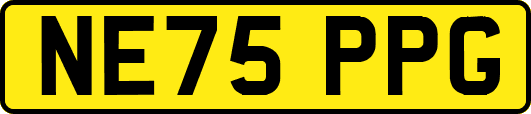 NE75PPG