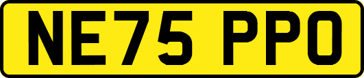 NE75PPO
