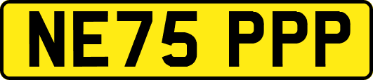 NE75PPP