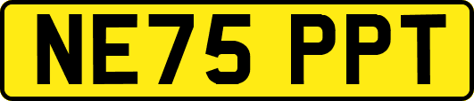 NE75PPT
