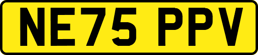 NE75PPV
