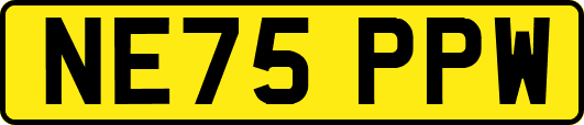 NE75PPW
