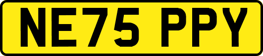 NE75PPY