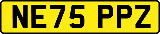 NE75PPZ