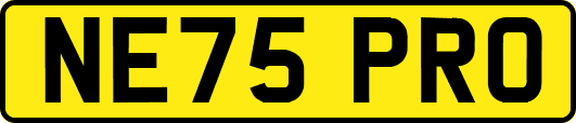NE75PRO