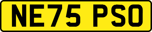 NE75PSO