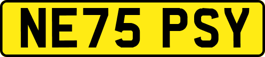 NE75PSY
