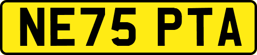 NE75PTA