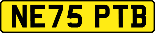 NE75PTB