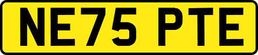 NE75PTE